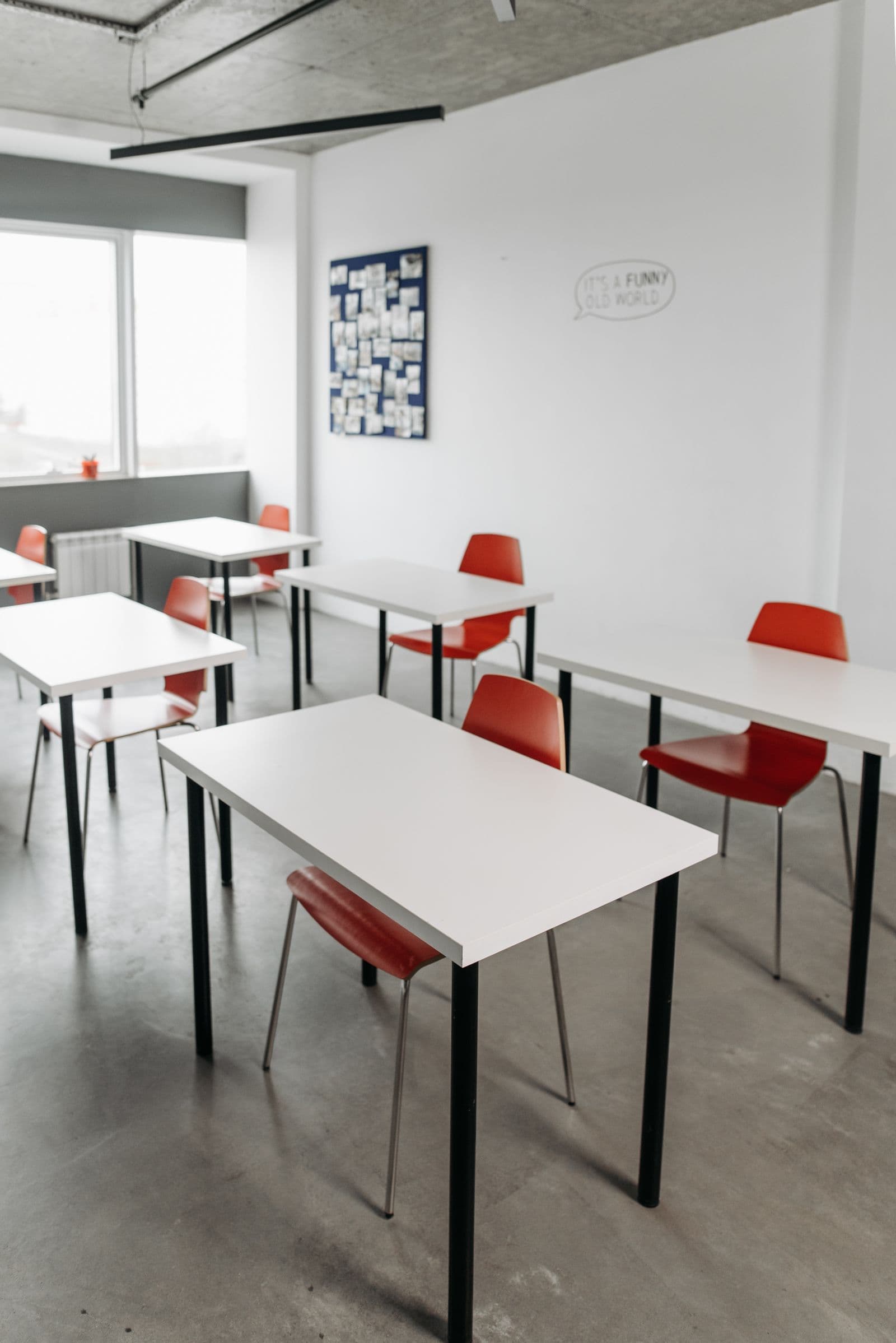 Tema Basic School: view 8